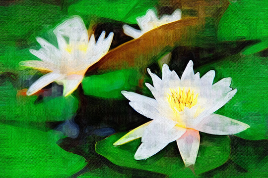 裝飾畫 無框畫 花卉 油畫