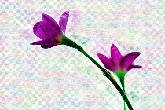 裝飾畫 無框畫 花卉 油畫