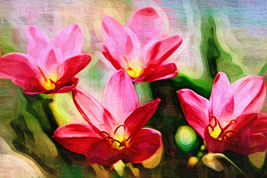 裝飾畫 無框畫 花卉