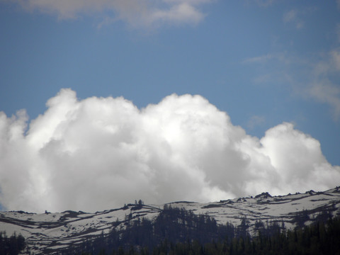 雪山森林