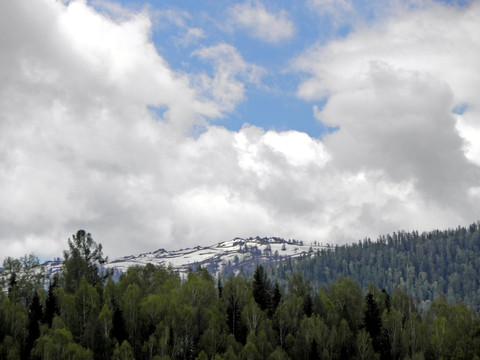 雪山森林