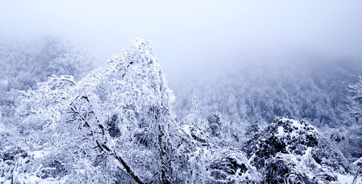 泥巴山 雾凇