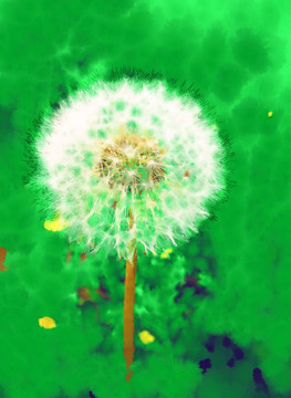 夢(mèng)幻蒲公英 電腦水彩畫