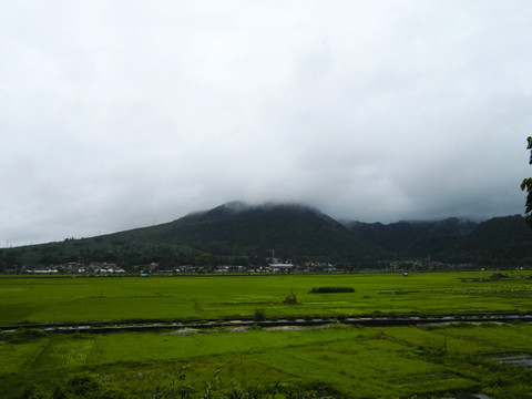 基本农田建设