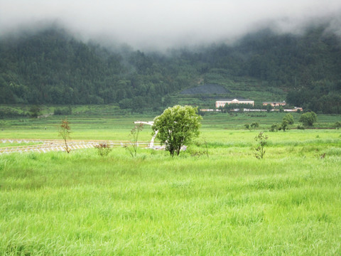 腾冲北海湿地保护区    湿地