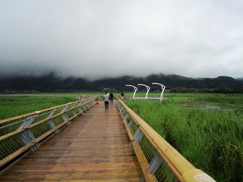 腾冲北海湿地保护区    湿地