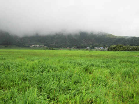 腾冲北海湿地保护区    湿地