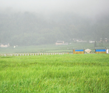 腾冲北海湿地保护区    湿地