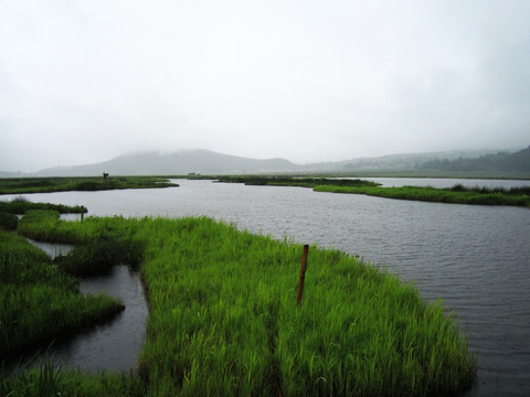 湿地保护区    湿地