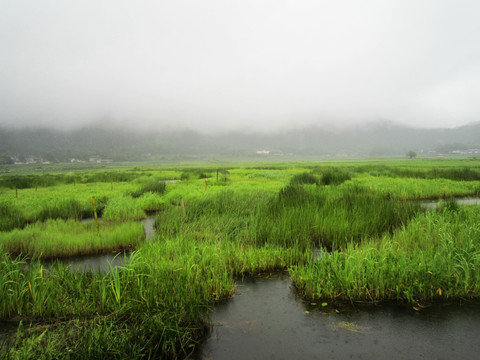 湿地保护区