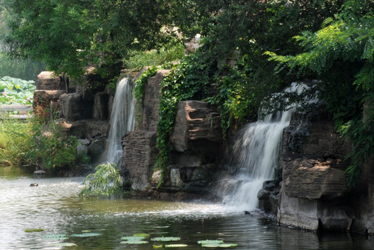 瀑布 流水 水景区 水面 荷叶