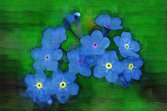藍(lán)色的花 電腦油畫