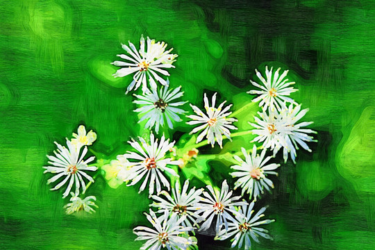 花之韻 電腦油畫