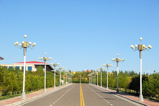 道路 路灯