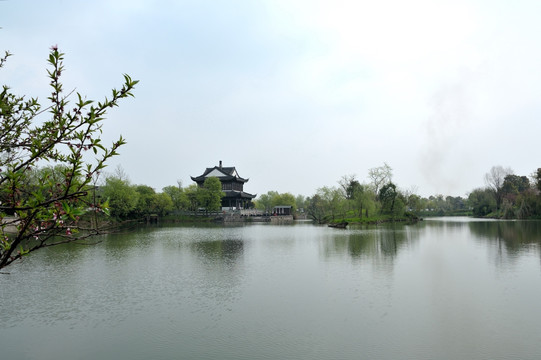 杭州 西溪 春季 湿地 公园