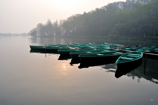 杭州 西湖 杨公堤 清晨 早春