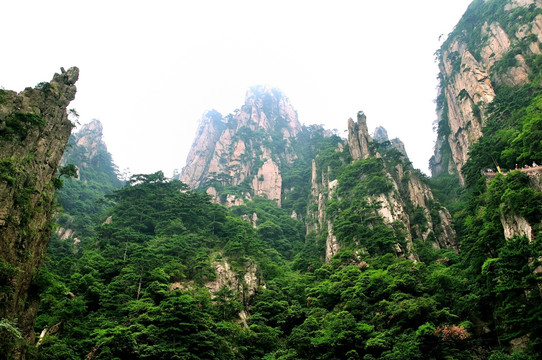 黃山奇峰