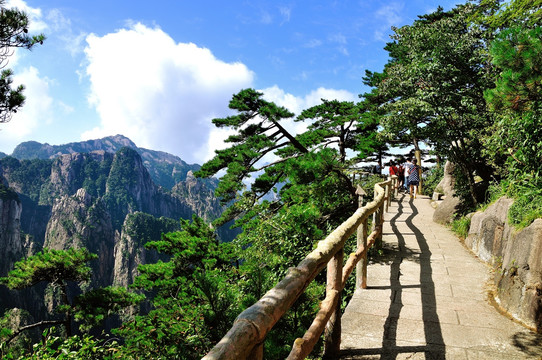 黄山奇峰