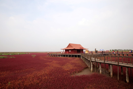 盘锦红海滩