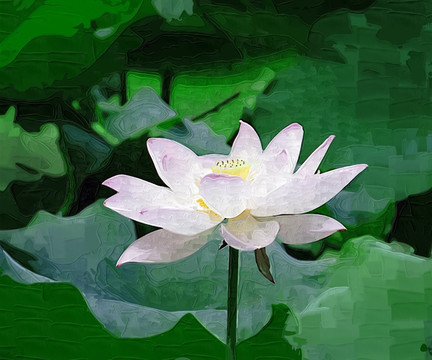油畫 荷花