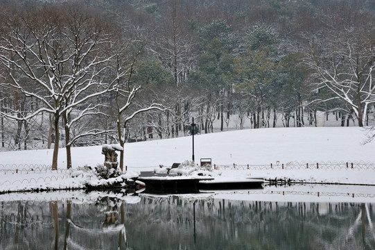 西湖 南山路 太子湾公园 雪景