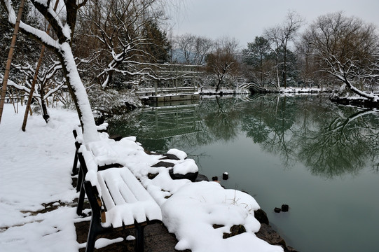 西湖 南山路 花港观鱼 雪景