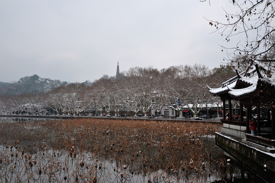 杭州 西湖 湖泊 雪景 冬季