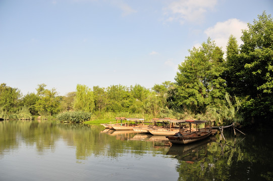 杭州 西溪 公园 夏天 早晨