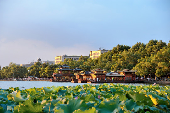 西湖 湖滨公园 傍晚 夏季