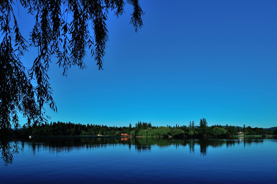 西湖 夏天 清晨 水面 风景