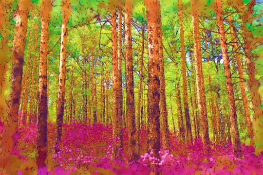 森林杜鹃红 电脑水彩画