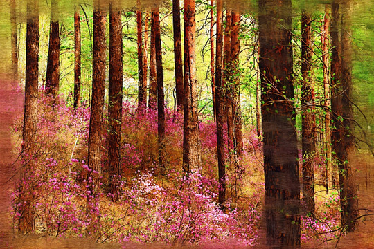森林杜鹃红 电脑油画