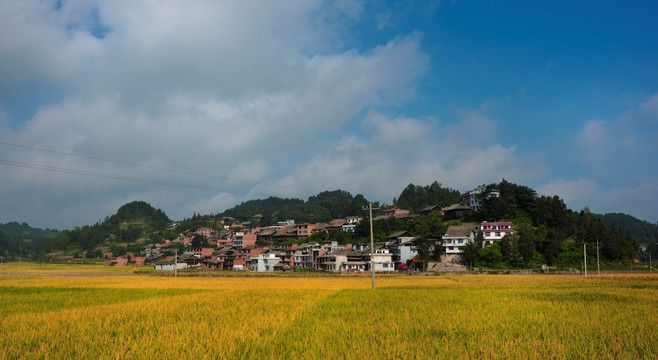 美麗鄉(xiāng)村