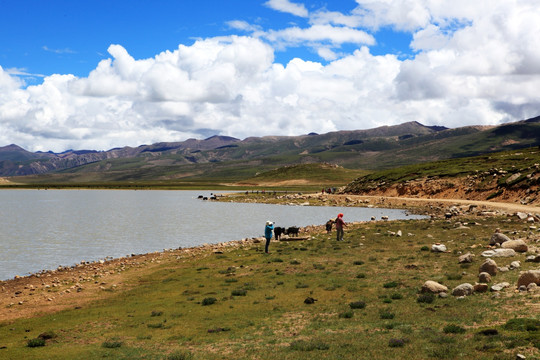 西藏高山湖泊