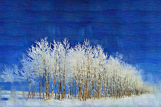 雪樹(shù)之語(yǔ) 電腦油畫(huà)