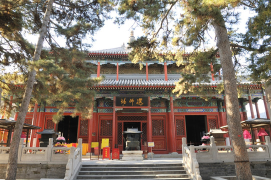 北京戒台寺选佛场