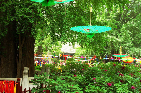 北京潭柘寺的庭院