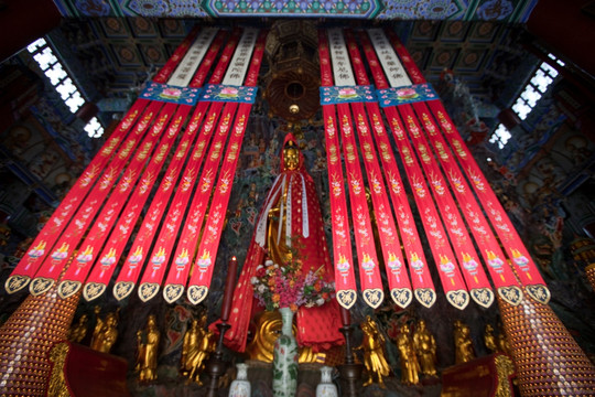 金山寺 寺庙 江天禅寺 庙宇