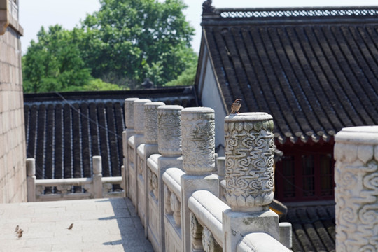 金山寺 寺庙 江天禅寺 庙宇