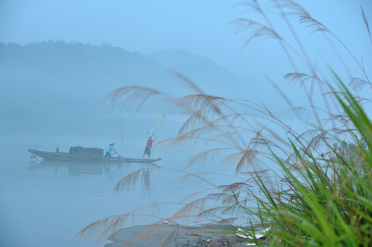 建德 下涯 晨雾 芦苇 打渔