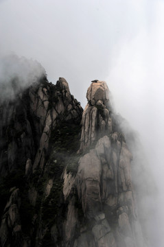 黄山 春季 天都峰 云雾 怪石