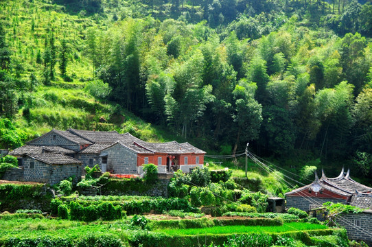 闽南泉州山村风光