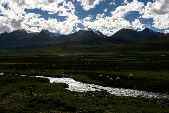 西藏的风景