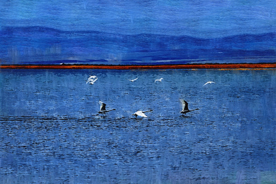 藍(lán)調(diào)天鵝湖 電腦油畫
