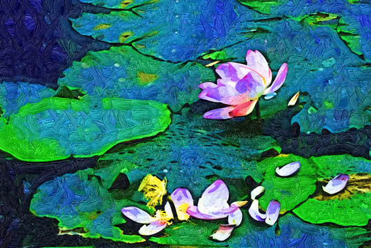 抽象畫(huà)花卉 無(wú)框畫(huà)  油畫(huà)