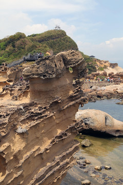 台北县的野柳地质公园一景