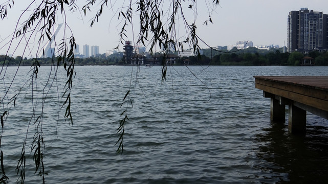 湖泊 水景 公园