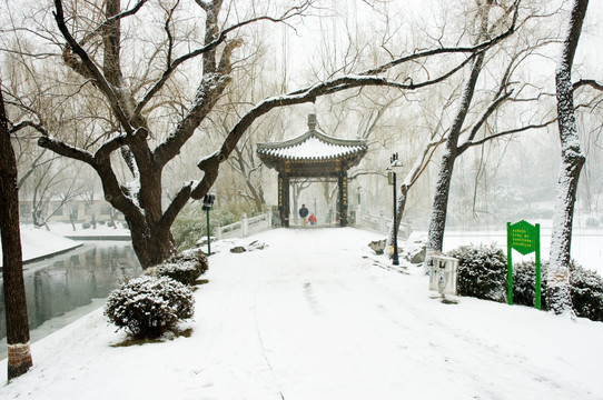 北京紫竹院公园亭子雪景