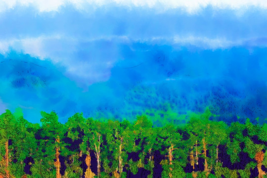 森林晨雾图 电脑画