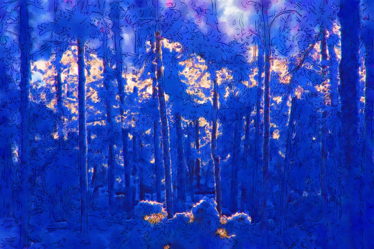 夢(mèng)幻雪林圖 電腦畫